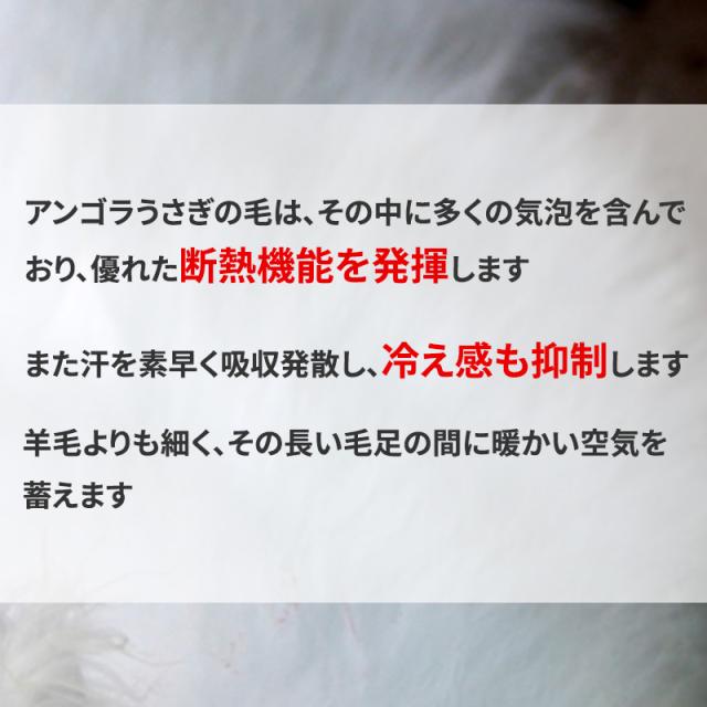 シニア 肌着 ズボン下 メンズ アンゴラ混 起毛 M〜LL (在庫限り)