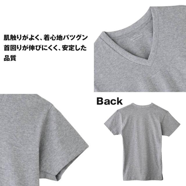 グンゼ vネック tシャツ ボディワイルド 綿100 2枚組 M L LL