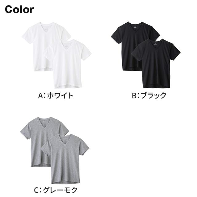 グンゼ vネック tシャツ ボディワイルド 綿100 2枚組 M L LL
