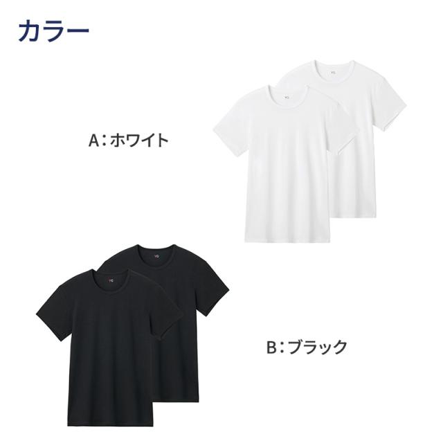 グンゼ YG 綿100 tシャツ メンズ 半袖 クルーネック 抗菌 防臭 2枚組 M L LL