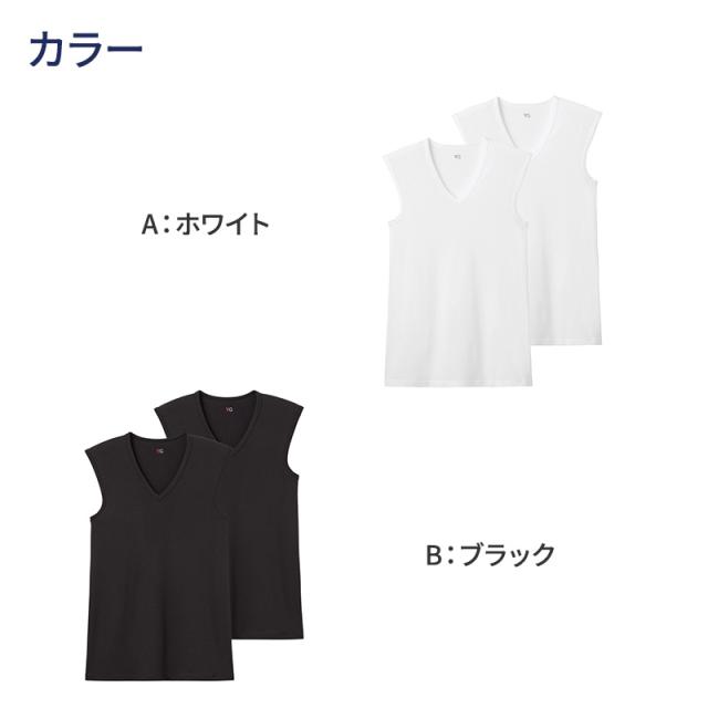グンゼ YG ノースリーブ スリーブレス tシャツ メンズ vネック 鹿の子 抗菌 防臭 2枚組 M L LL