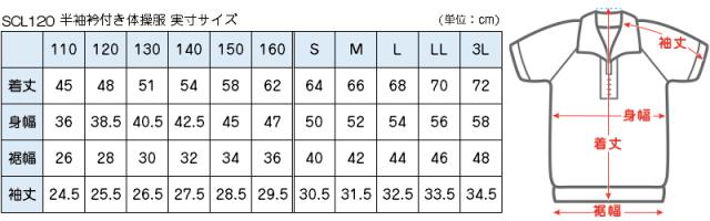 体操服 半袖 ドライ 衿付き 体操着 小学生 110〜160cm  (在庫限り)