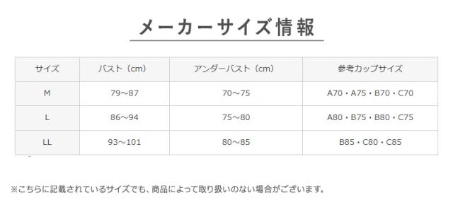 グンゼ クールマジック ノンワイヤー ブラジャー ブラ 汗対策 M L LL