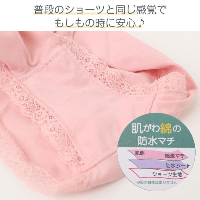 サニタリーショーツ 綿混 パンツ レディース M L LL (在庫限り)
