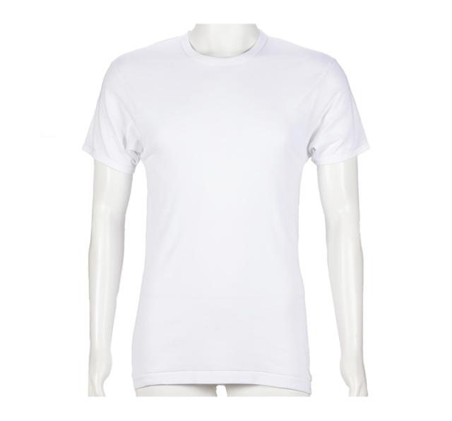 メンズ 半袖 綿100% インナー tシャツ 丸首 2枚組 アツギ 半袖シャツ クルーネック コットン 綿 肌に優しい M L LL