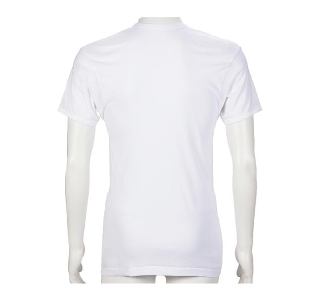 メンズ 半袖 綿100% インナー tシャツ 丸首 2枚組 アツギ 半袖シャツ クルーネック コットン 綿 肌に優しい M L LL