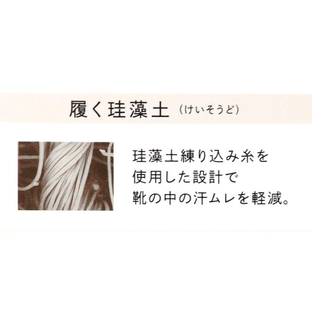 サブリナ フットカバー レディース ソックス 靴下 パイル 吸汗 蒸れにくい 消臭 快適 深履き グンゼ 23 24 25 cm