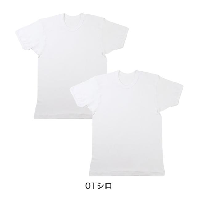 2枚組 綿 メンズ インナー 肌着 半袖 tシャツ 丸首 厚地 M L LL