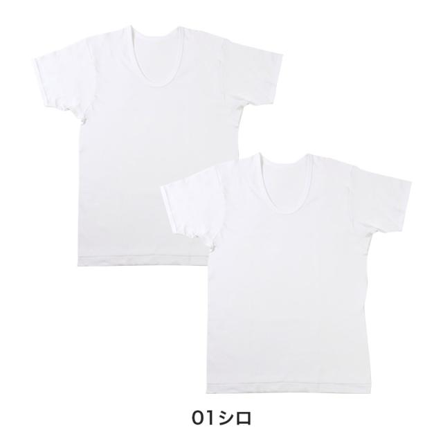 2枚組 綿 メンズ インナー 肌着 半袖 tシャツ U首 厚地 M L LL