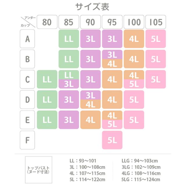 ノンワイヤー ブラ ショーツ 上下セット 大きいサイズ 3L 〜 5L