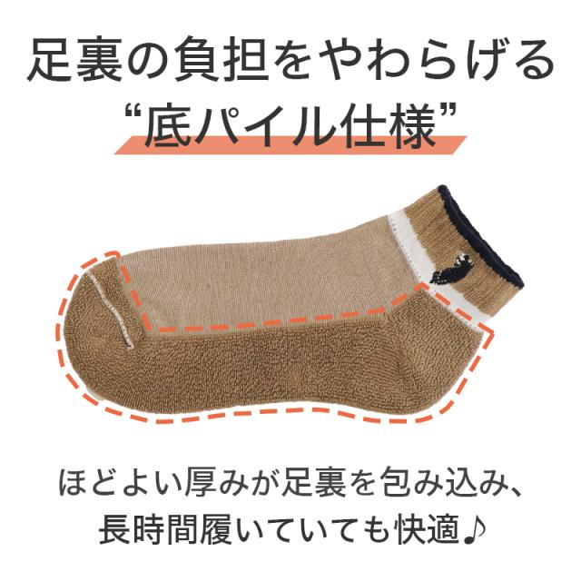 レディース ソックス 5足セット 靴下 POLO ウエスタン スニーカー丈 刺繍 ワンポイント 22-24cm 女性 22cm 23cm 24cm WESTERN POLO TEXAS