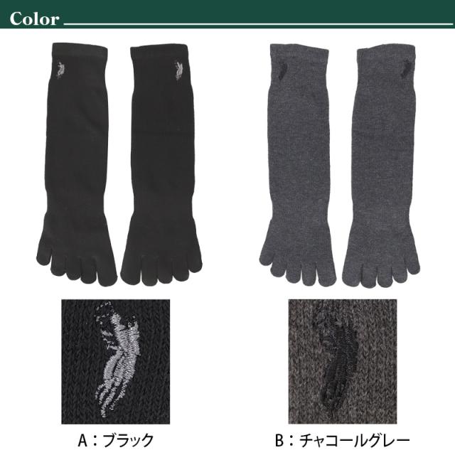 ビジネスソックス メンズ ソックス 5本指ソックス 紳士 POLO polo 25 26 27 cm