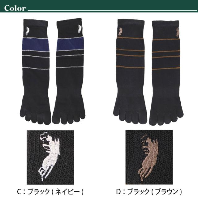 ビジネスソックス メンズ ソックス 5本指ソックス 紳士 POLO polo 25 26 27 cm