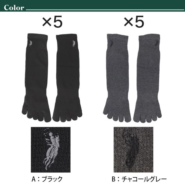 ビジネスソックス メンズ 5本指ソックス 紳士 POLO polo 5足セット 25 26 27 cm
