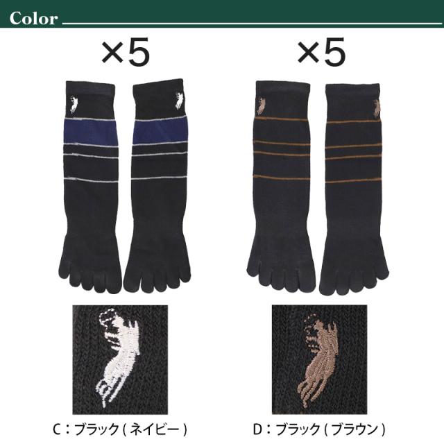 ビジネスソックス メンズ 5本指ソックス 紳士 POLO polo 5足セット 25 26 27 cm