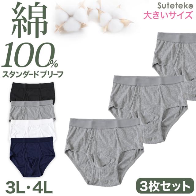 ブリーフ メンズ パンツ 綿100% スタンダード 前開き 3枚セット 3L 4L