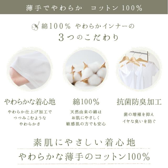 ショーツ レディース 綿100% 浅ばき 3枚セット S M L LL