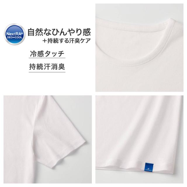 冷感 インナー メンズ クルーネック Tシャツ 綿100% グンゼ M L LL