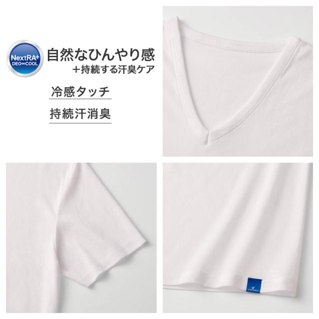 冷感 インナー メンズ Vネック Tシャツ 綿100% グンゼ M L LL