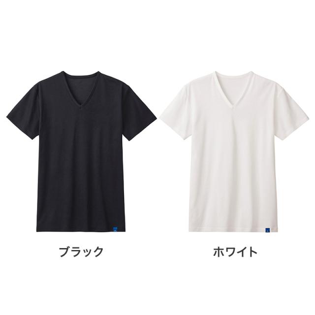 冷感 インナー メンズ Vネック Tシャツ 綿100% グンゼ M L LL