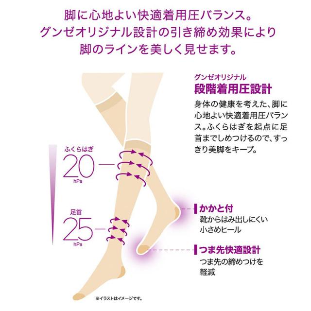 着圧ストッキング ひざ下 ハイソックス レディース 強着圧 足首25hPa M L