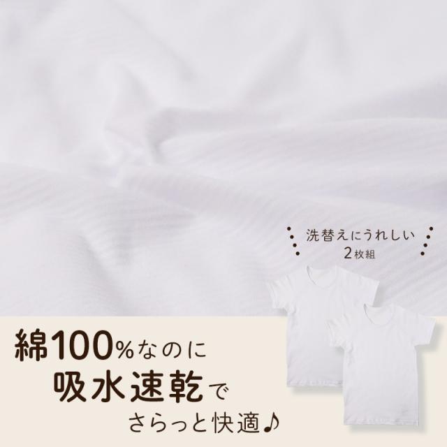 キッズ 半袖 シャツ インナー 2枚組 綿100% オーガニックコットン 男の子 女の子 100 110 120 130 140 150 160 cm