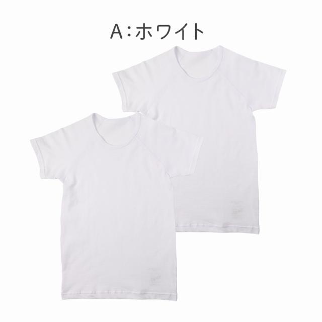 キッズ 半袖 シャツ インナー 2枚組 綿100% オーガニックコットン 男の子 女の子 100 110 120 130 140 150 160 cm
