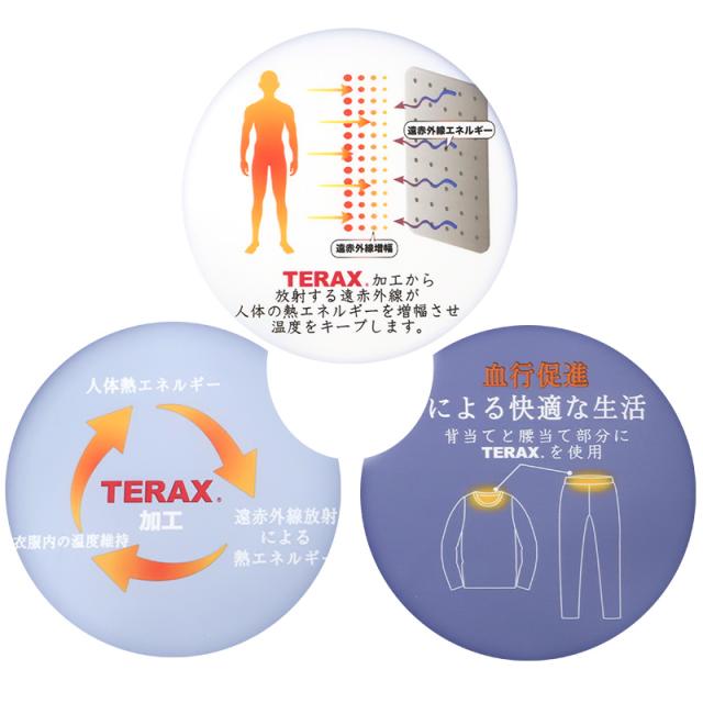 TERAX テラックス 遠赤外線 メンズ ルームウェア 上下セット 半袖 ハーフパンツ ストレッチメッシュ M L LL