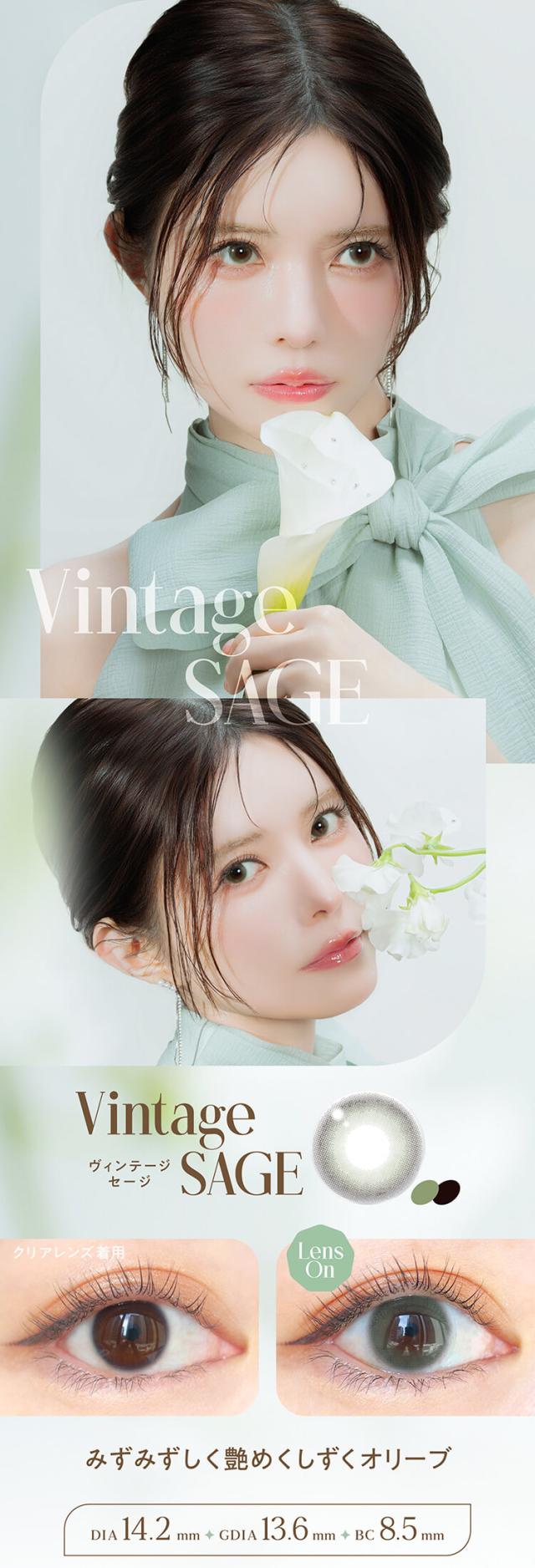 カラコン エンジェルカラー バンビシリーズヴィンテージワンデー