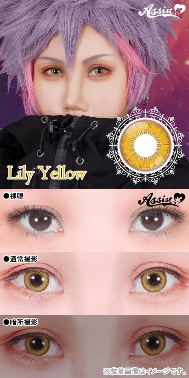 カラコン assistchouchou shutella 1day(アシストシュシュ　シュテラワンデー)