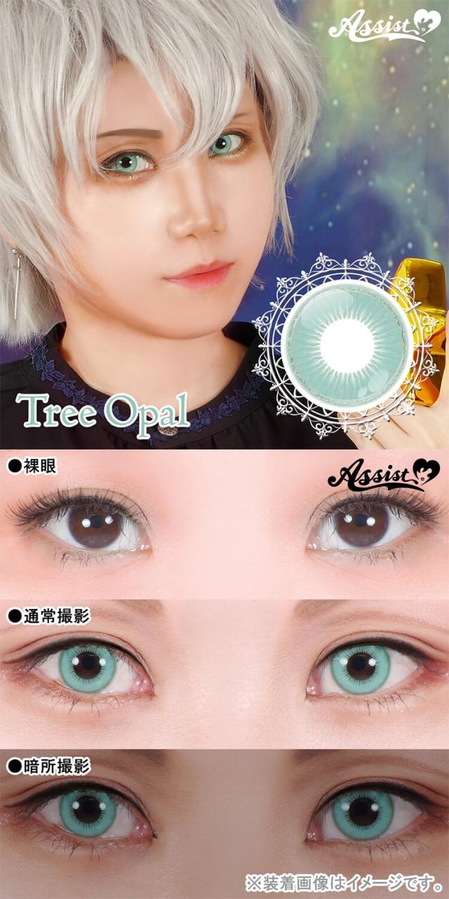 カラコン assistchouchou shutella 1day(アシストシュシュ　シュテラワンデー)