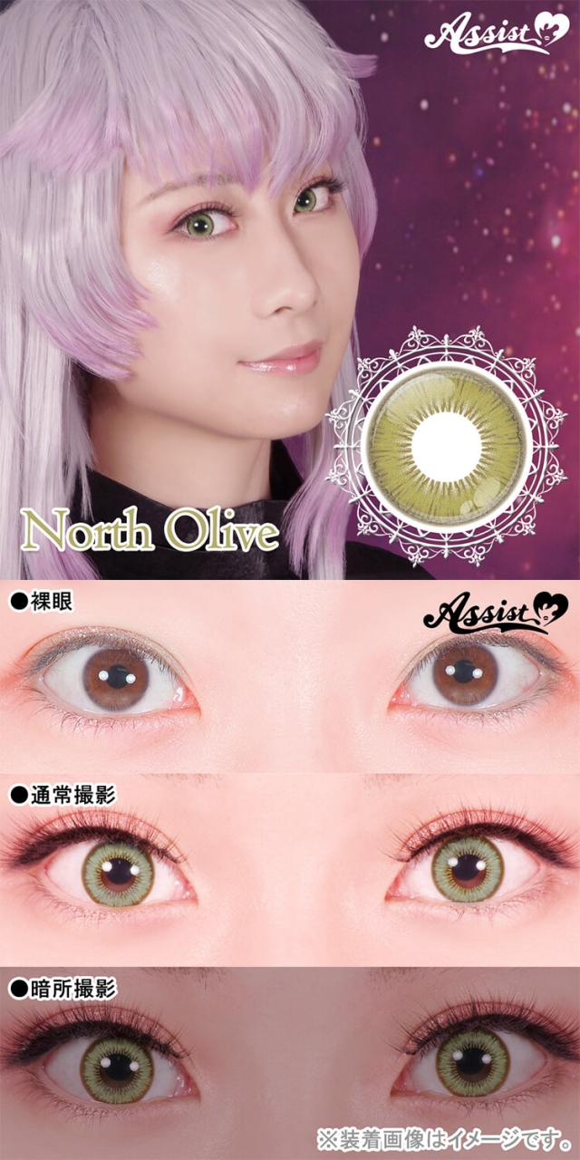 カラコン assistchouchou shutella 1day(アシストシュシュ　シュテラワンデー)