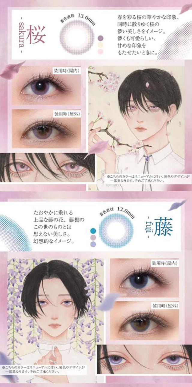 美少年画　花彩