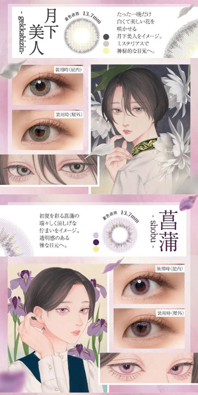 美少年画　花彩