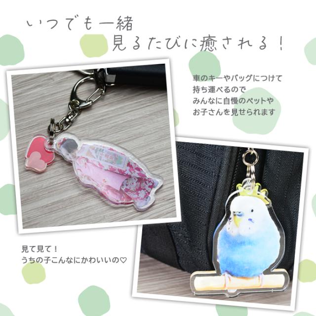 いつでも一緒見るたびに癒やされる