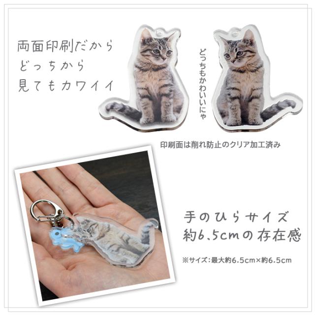 両面印刷だから見てもカワイイ