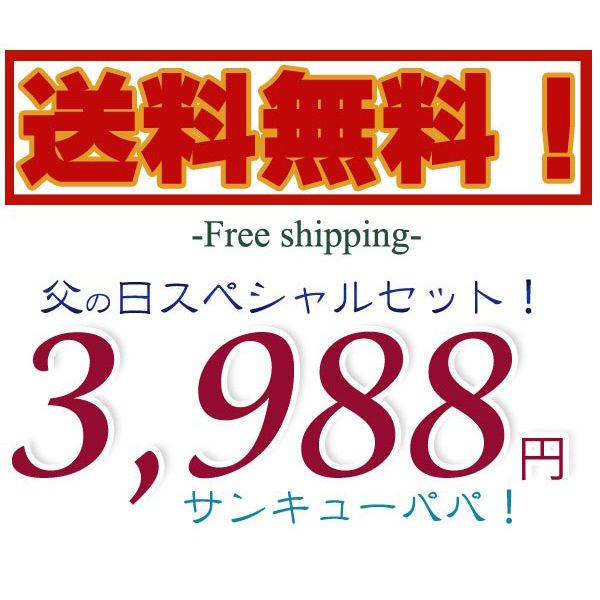 レビュー書いて送料無料