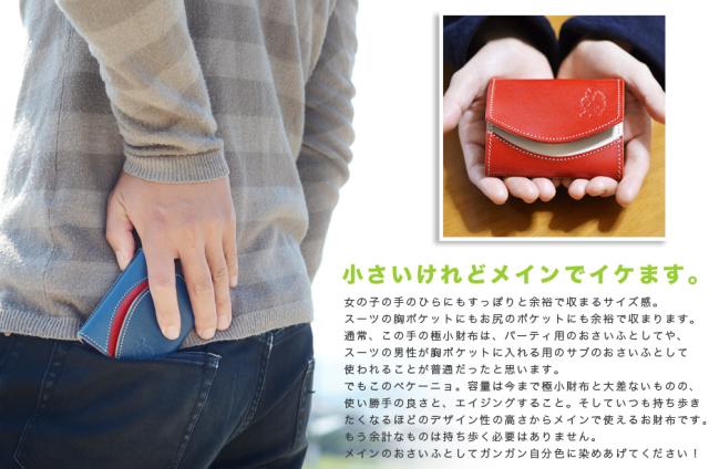 小さいけれどメインでイケます。