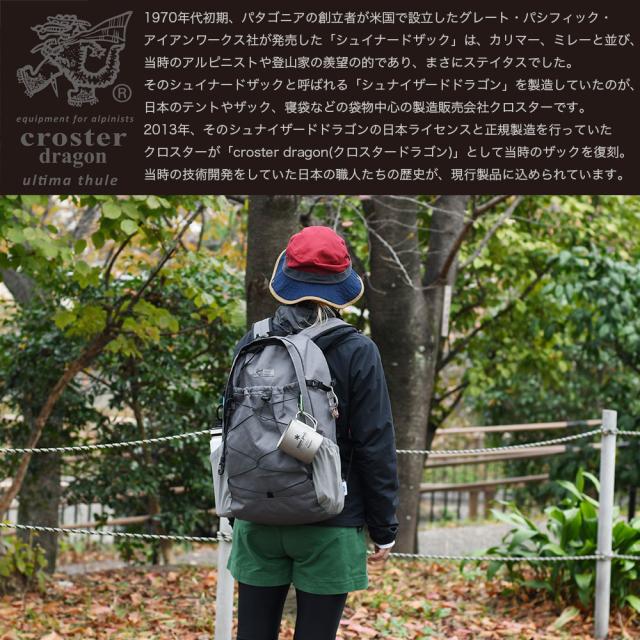 クロスタードラゴンについて