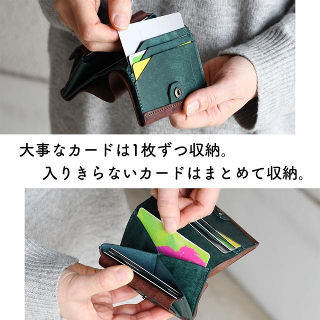 大事なカードは1枚ずつ収納。入りきらないカードはまとめて収納。