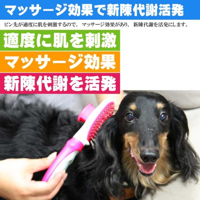 送料無料 犬 猫 ペット用ムダ毛取りブラシ ピンブラシ 先端丸い Fa009の通販はau Wowma ワウマ Ase 全品送料無料 商品ロットナンバー