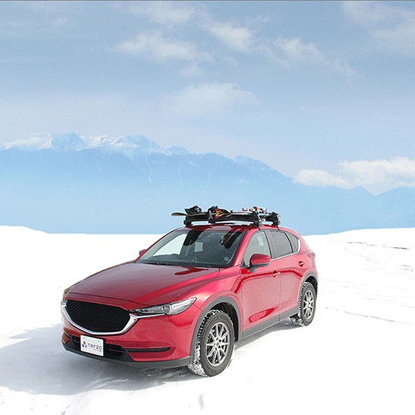 スキースノーボード専用キャリアセット H21.5〜 レガシィ B4 BM/BN9系