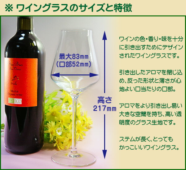ワイングラスのサイズと特徴