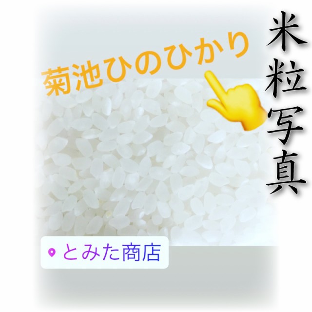 産地限定米　5kg　マーケット－通販サイト　au　ヒノヒカリ　白米　新米　あす着　お米　くまもとのお米販売店富田商店auPAYマーケット店　令和5年産　熊本県　マーケット　菊池産　PAY　くまもとのお米の通販はau　ひのひかり　5kg1個　送料無料　米　PAY