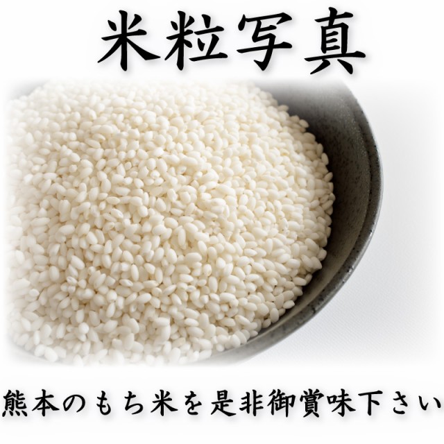 お米 米 15kg 白米 送料無料 熊本県産 ヒヨクモチ もち米 令和5年産