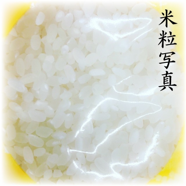 musen-hinohikari-kometubu.jpg musen-hinohikari-kometubu.jpg