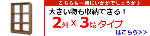 スタッキングシェルフ2x3はこちら