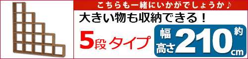 スタッキングシェルフ階段タイプ(5段)はこちら