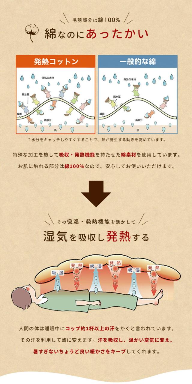 あったかコットンケット  ロマンス小杉ロマンス小杉 