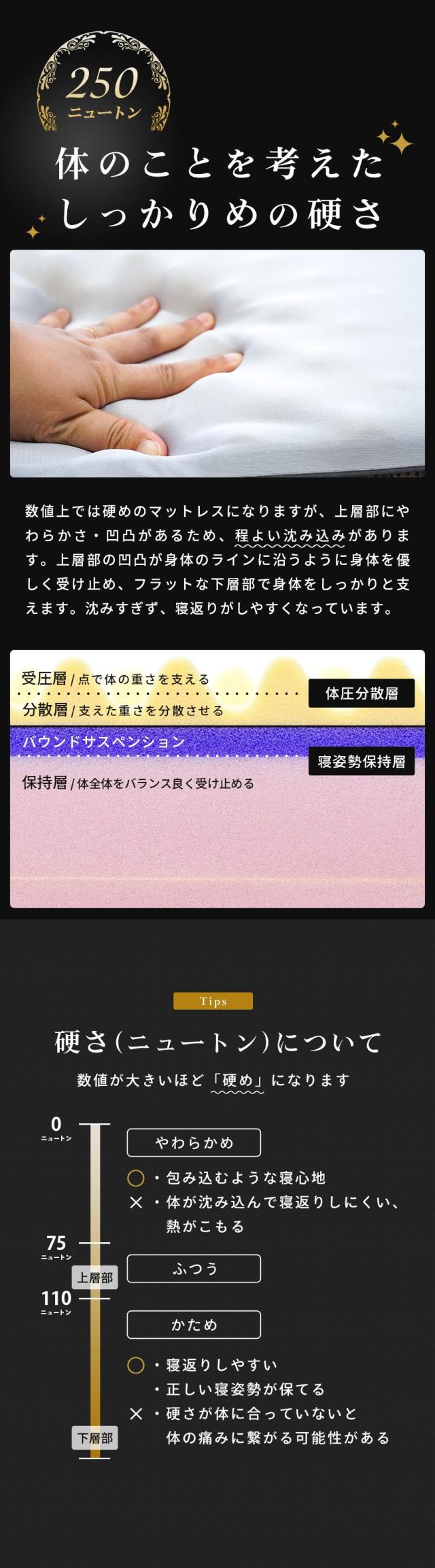 しっかりめの硬さ